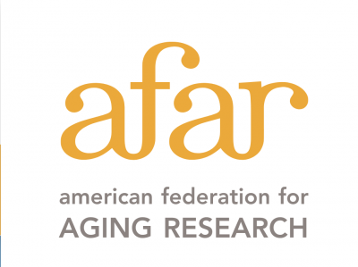 RFP: McKnight Brain Research Foundation Innovator Awards in Cognitive Aging and Memory Loss